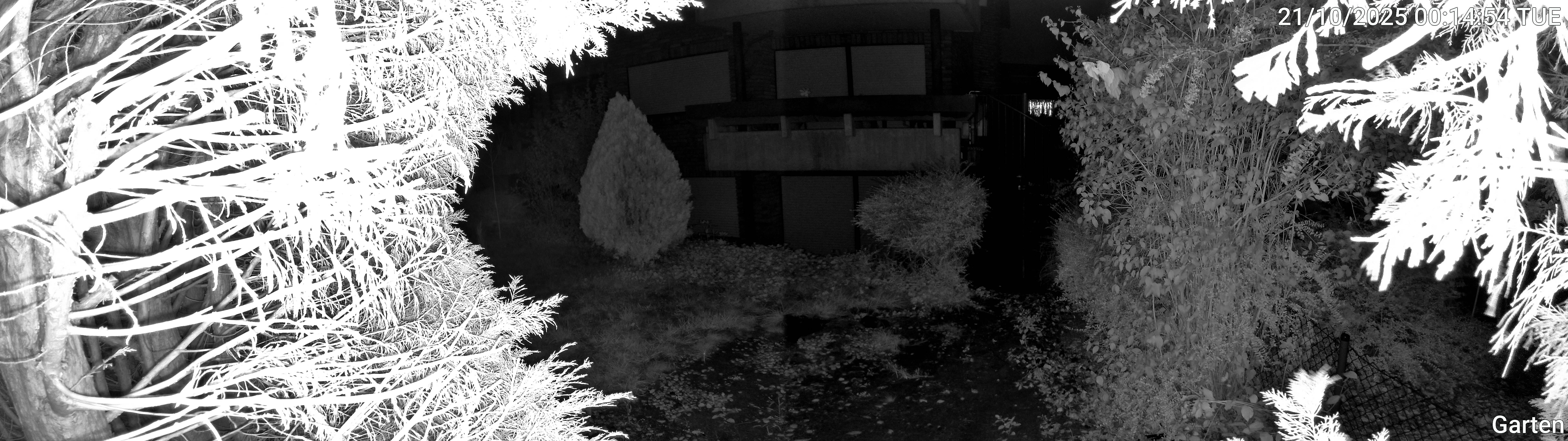 Garten_00_20251021001454.jpg
