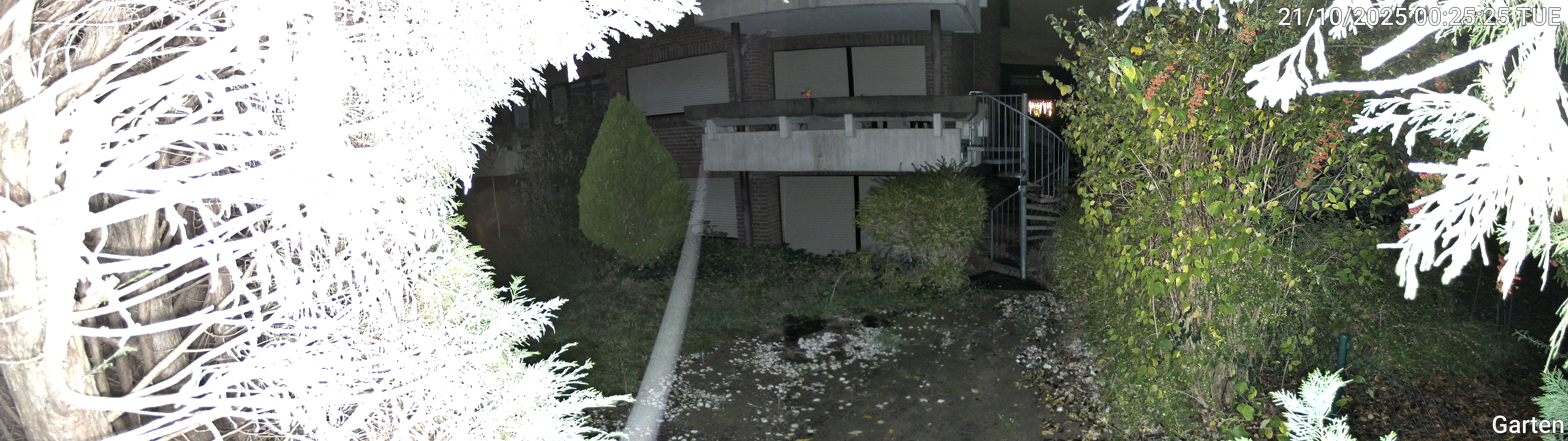 Garten_00_20251021002526.jpg