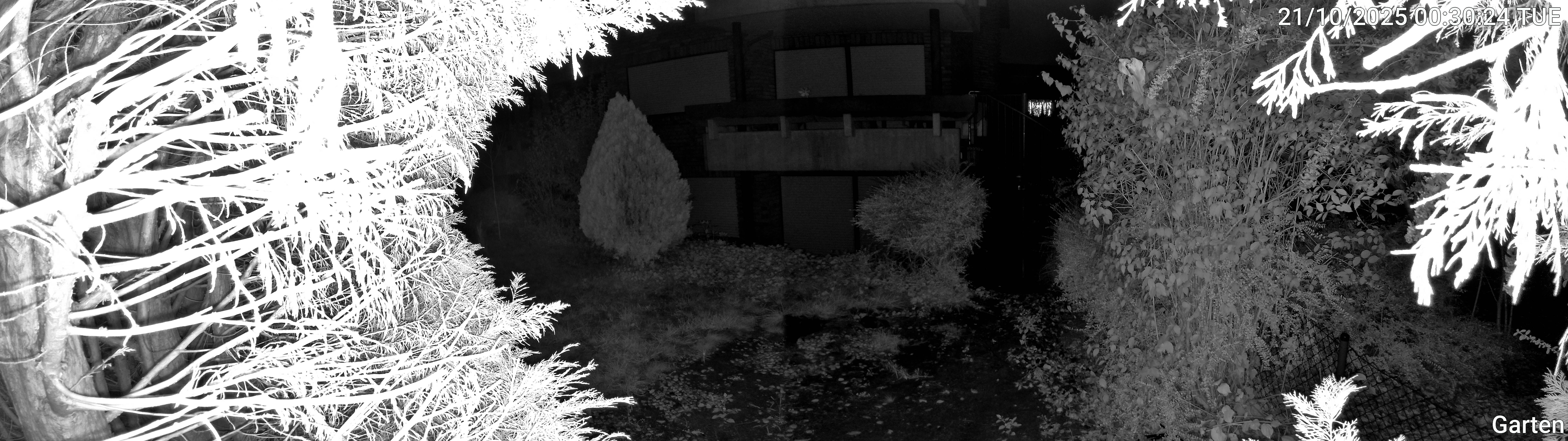 Garten_00_20251021003024.jpg