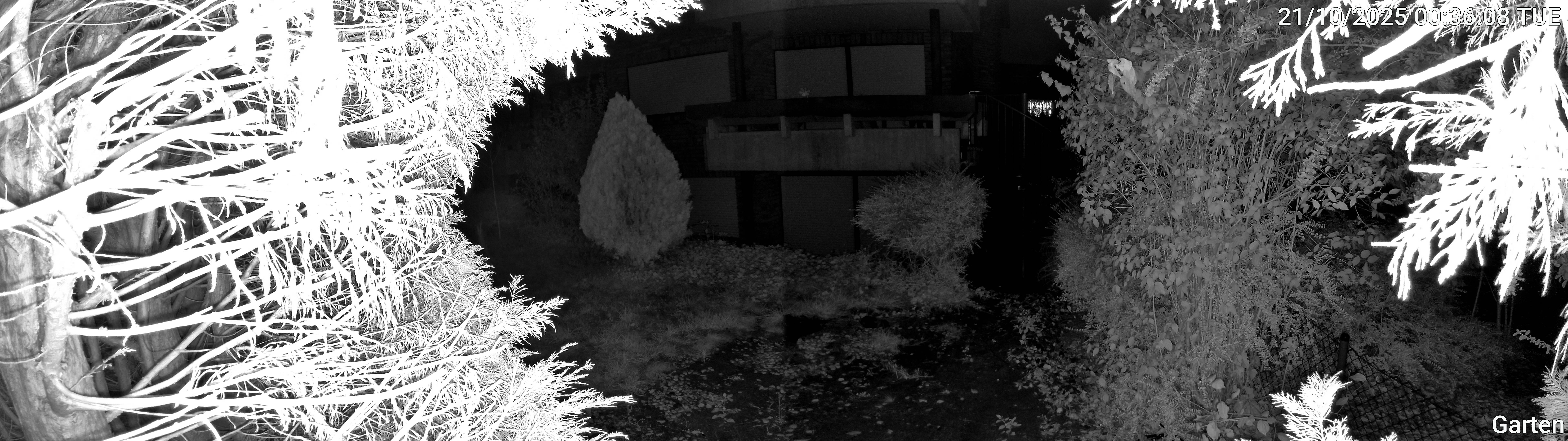 Garten_00_20251021003608.jpg