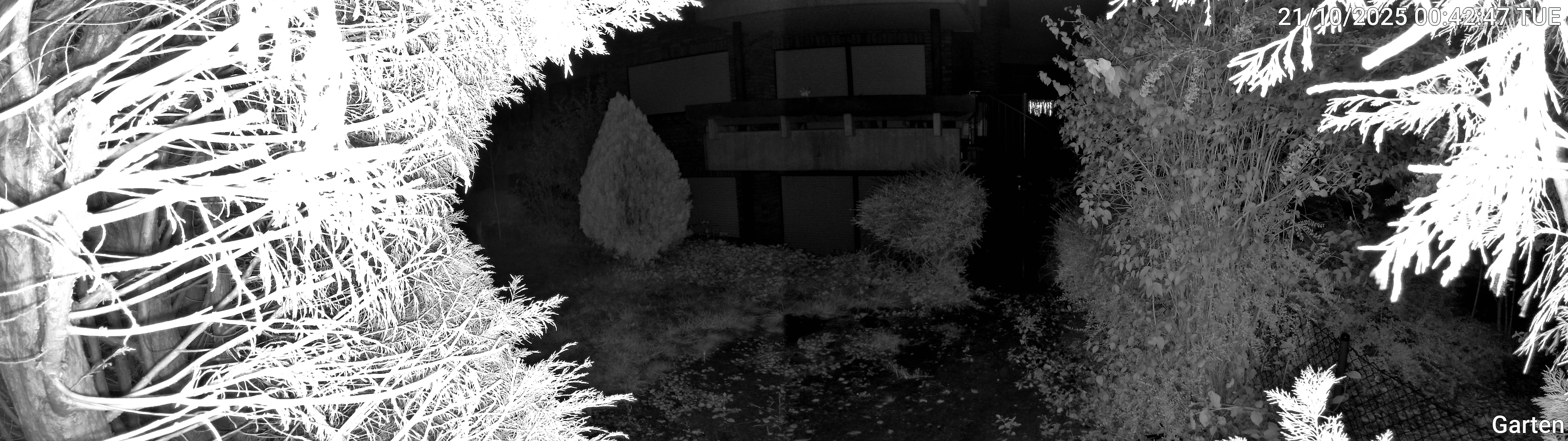 Garten_00_20251021004247.jpg