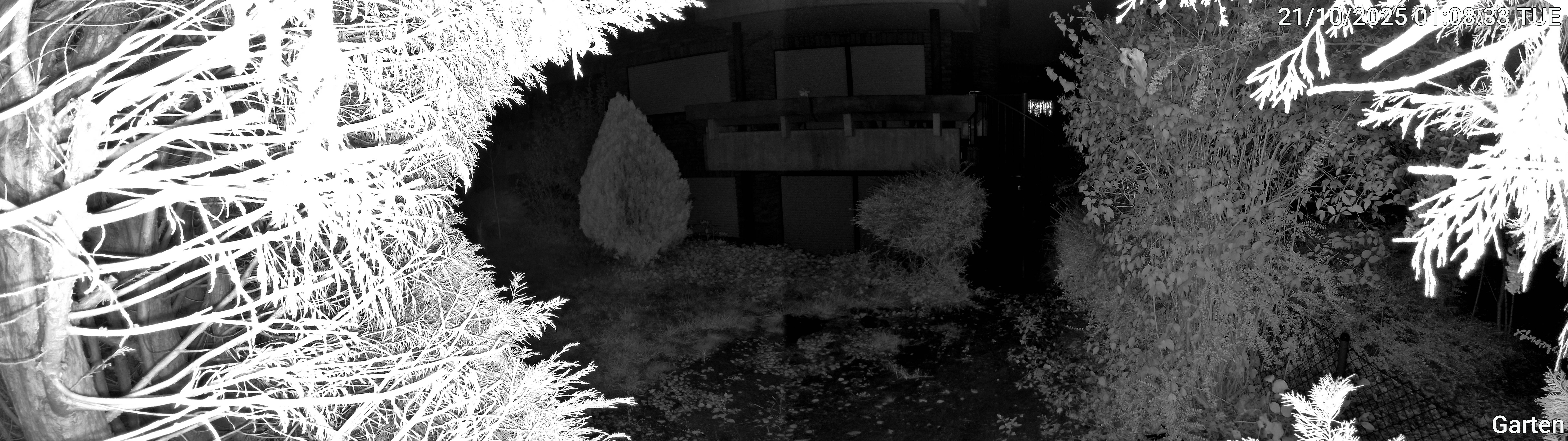 Garten_00_20251021010833.jpg
