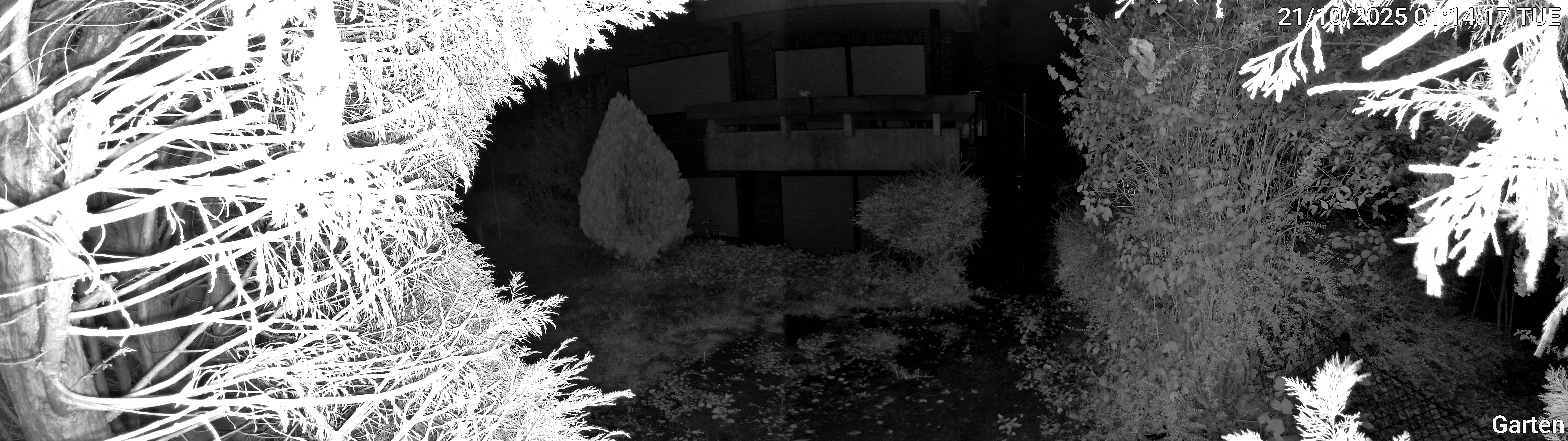 Garten_00_20251021011417.jpg