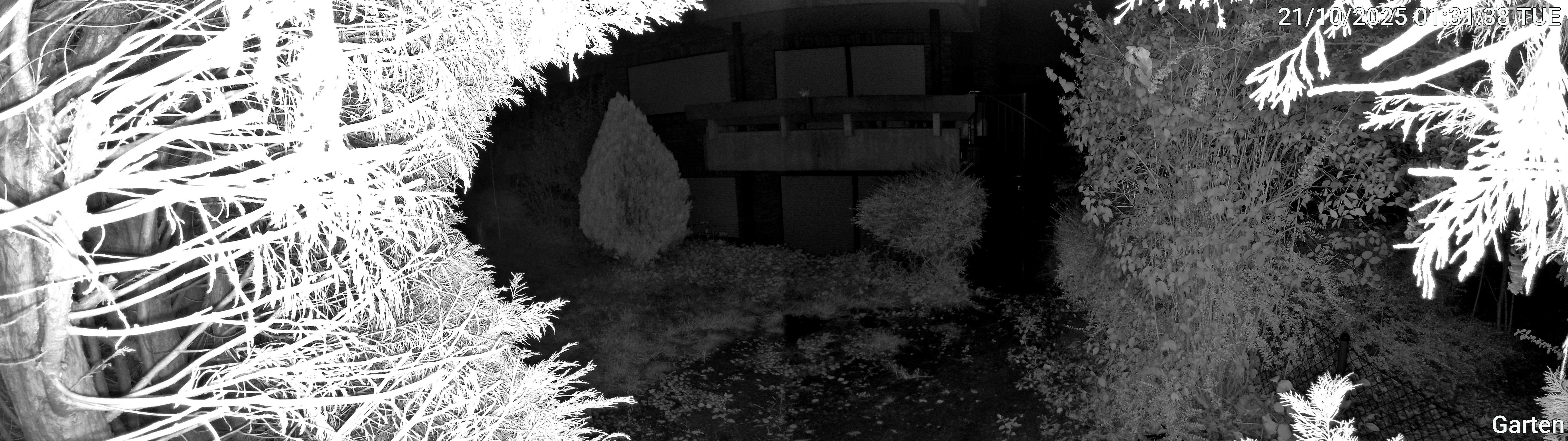 Garten_00_20251021013138.jpg
