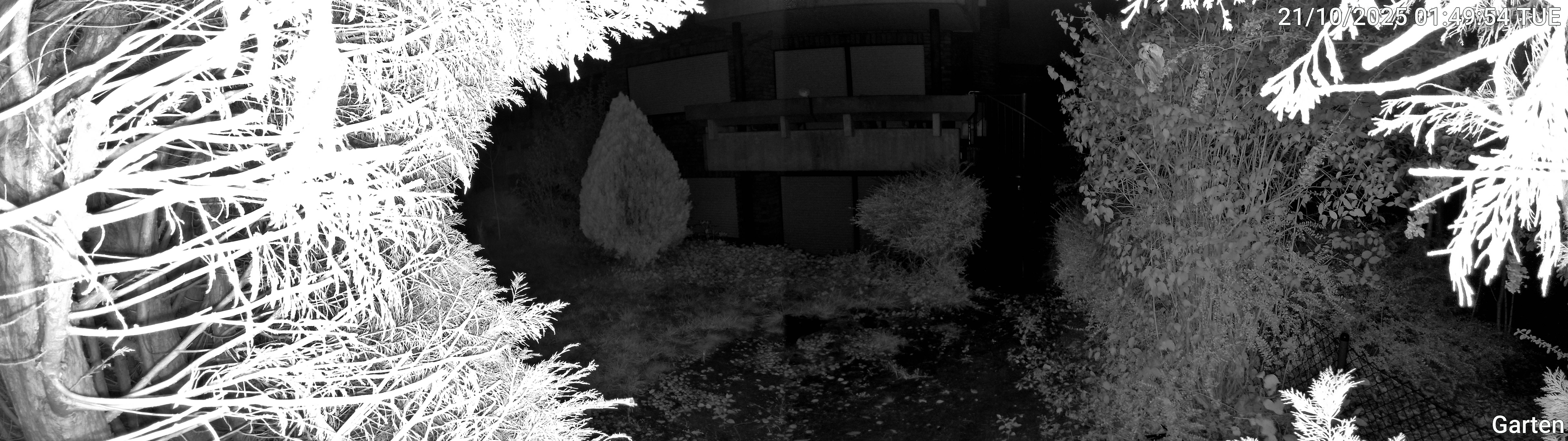 Garten_00_20251021014954.jpg