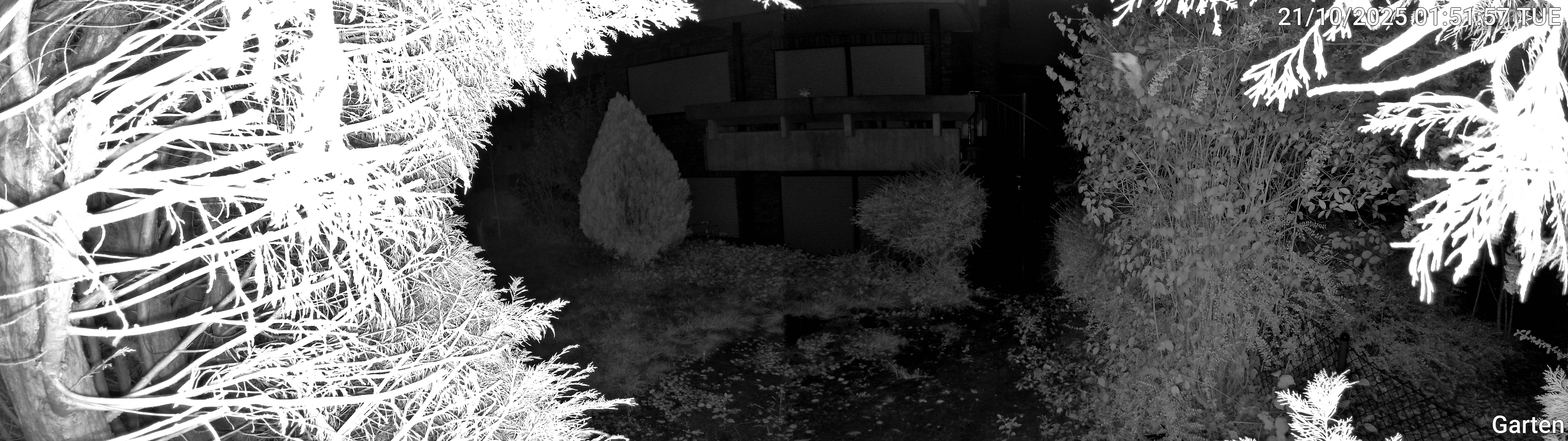 Garten_00_20251021015157.jpg