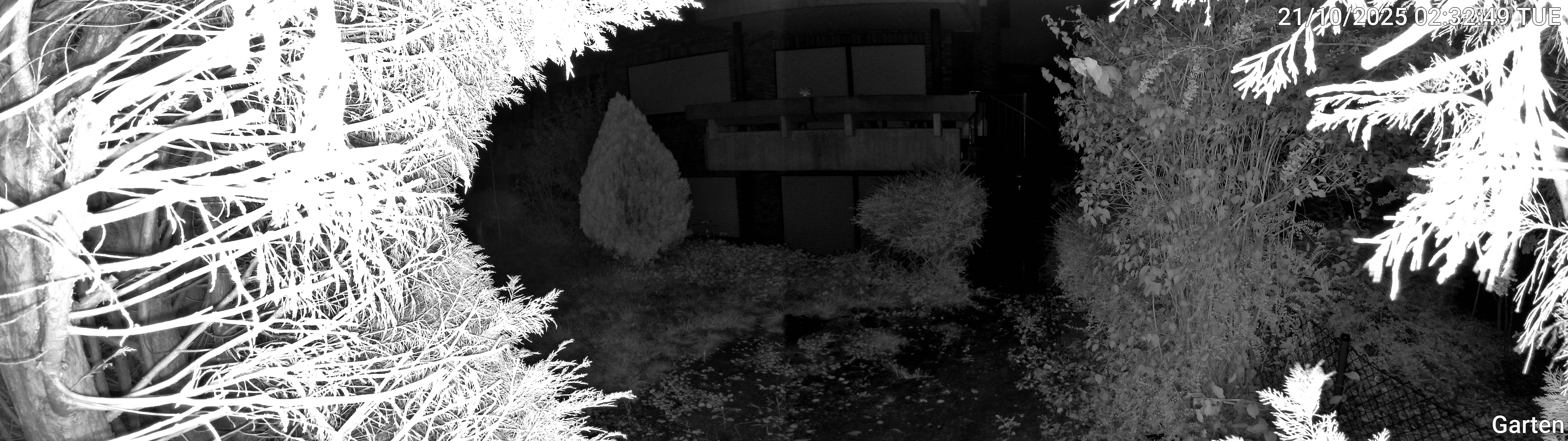 Garten_00_20251021023249.jpg