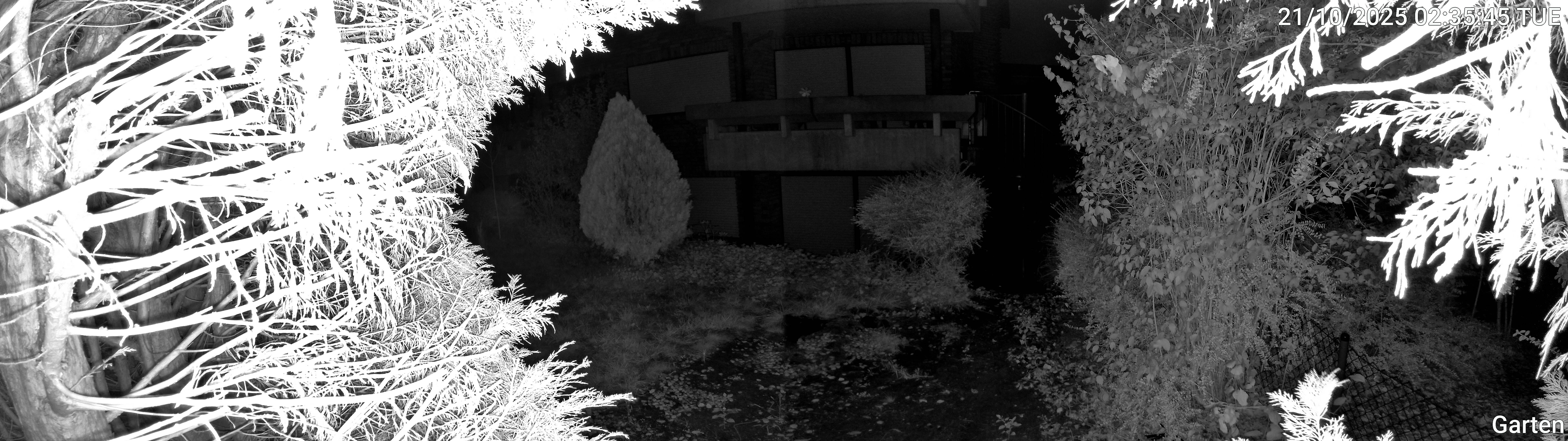 Garten_00_20251021023545.jpg