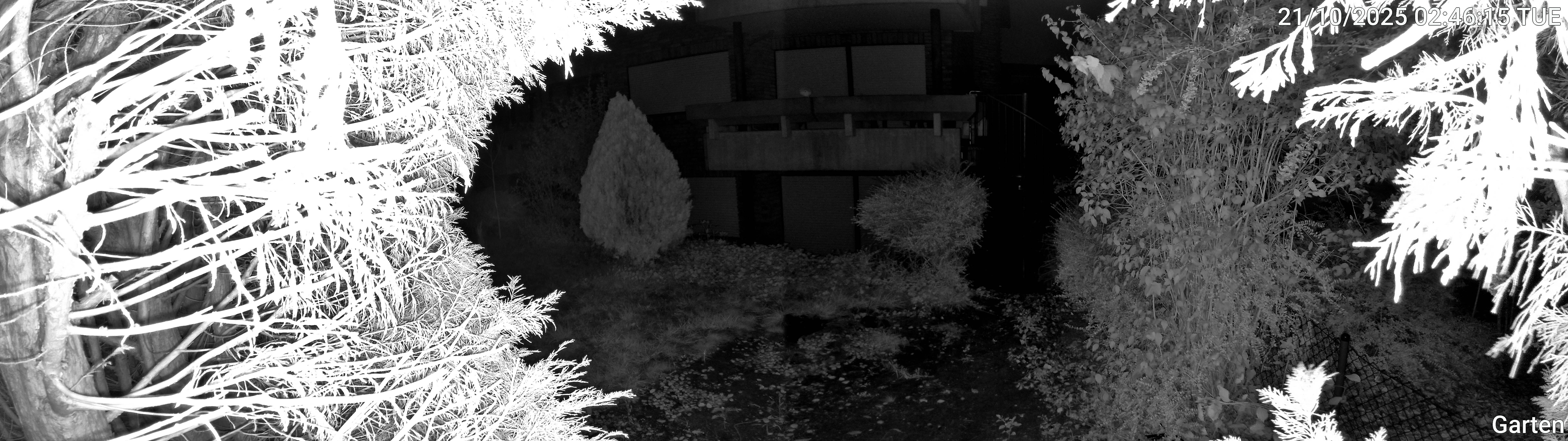 Garten_00_20251021024615.jpg