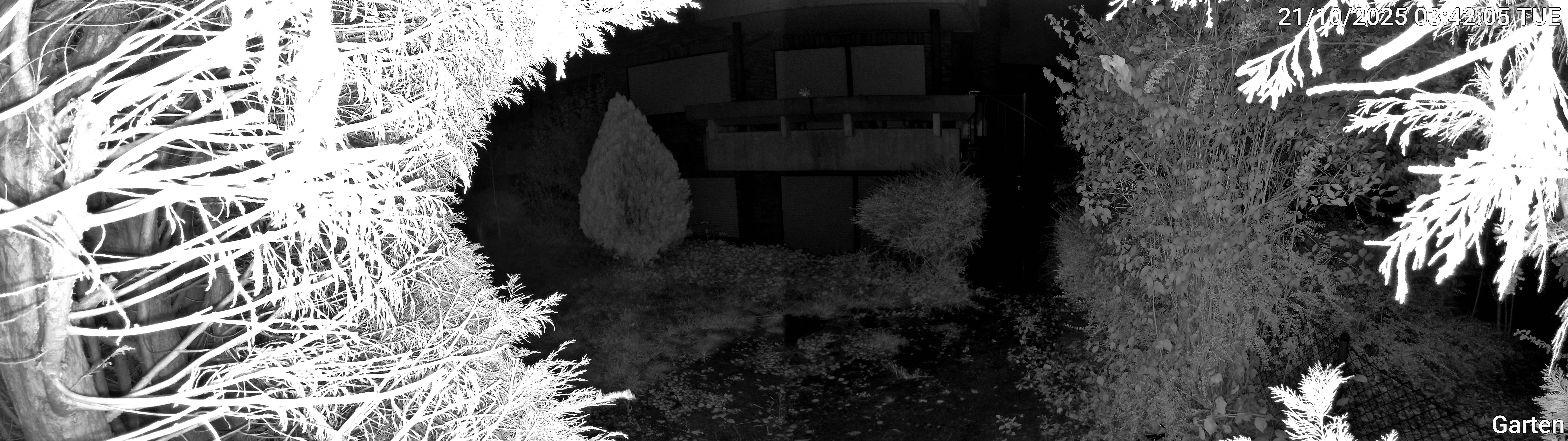 Garten_00_20251021034205.jpg