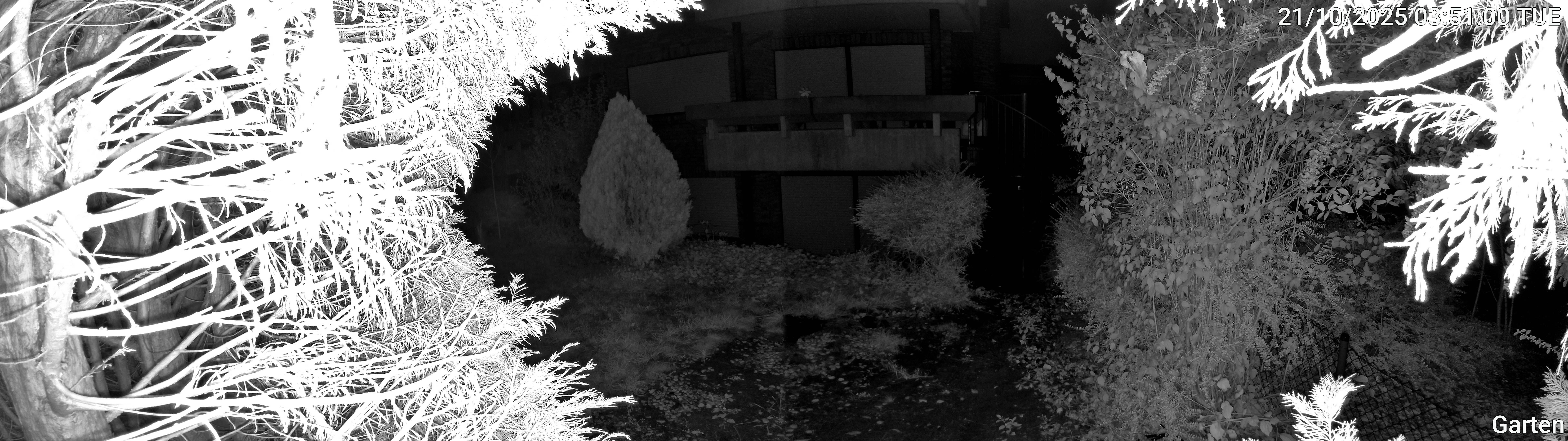 Garten_00_20251021035100.jpg
