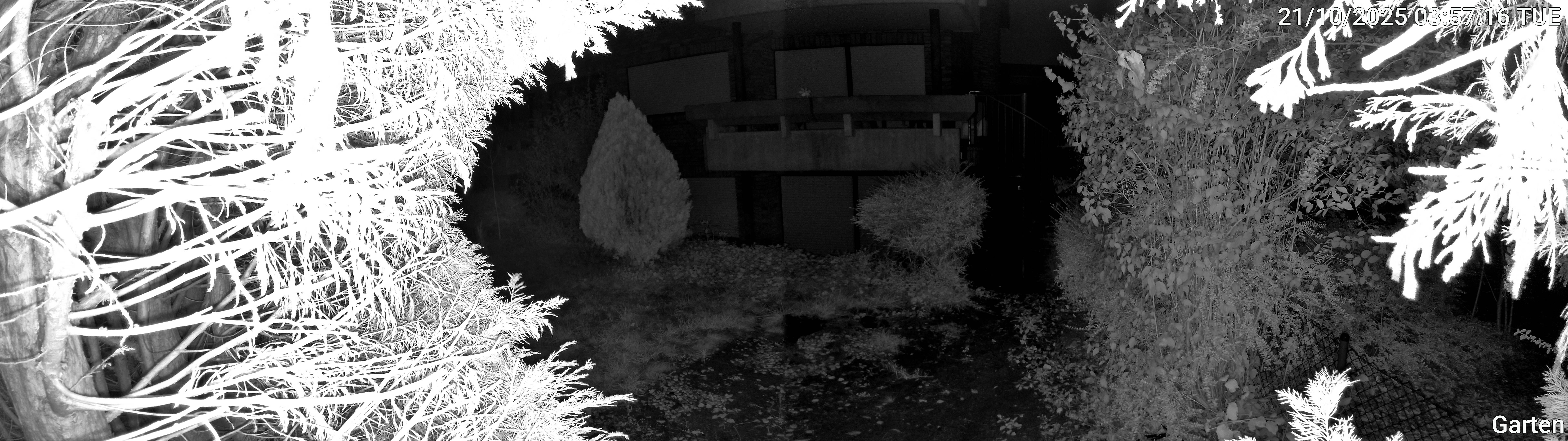 Garten_00_20251021035716.jpg
