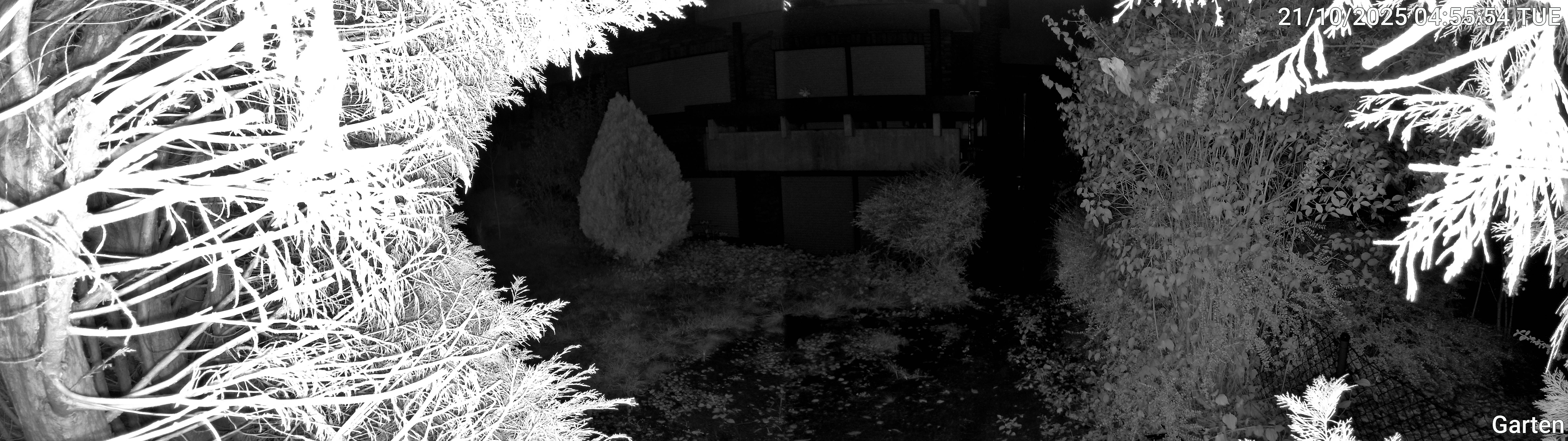 Garten_00_20251021045554.jpg