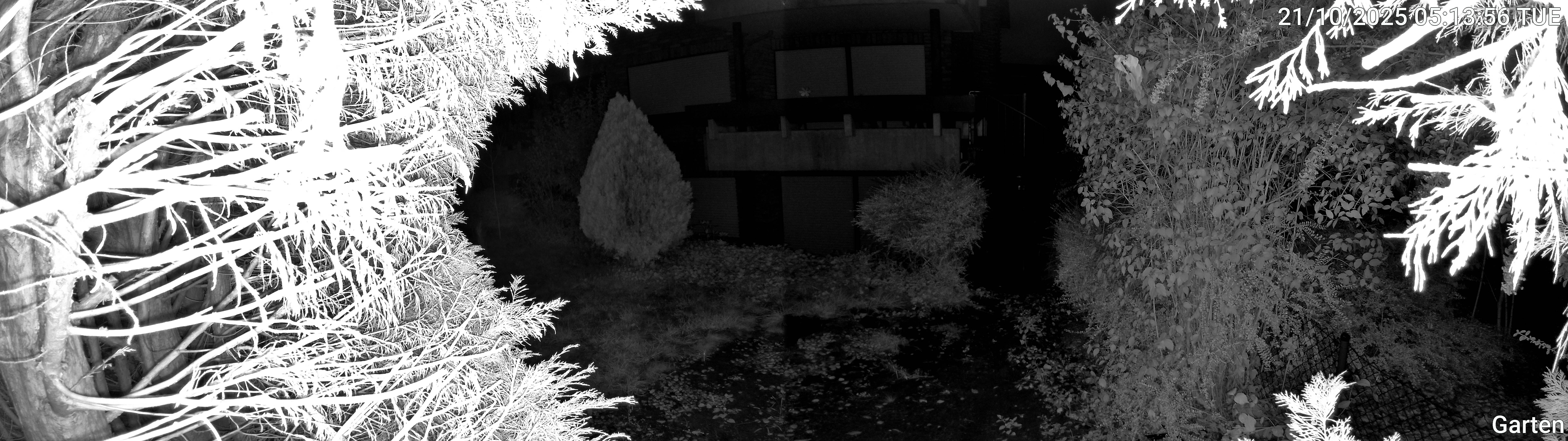 Garten_00_20251021051356.jpg
