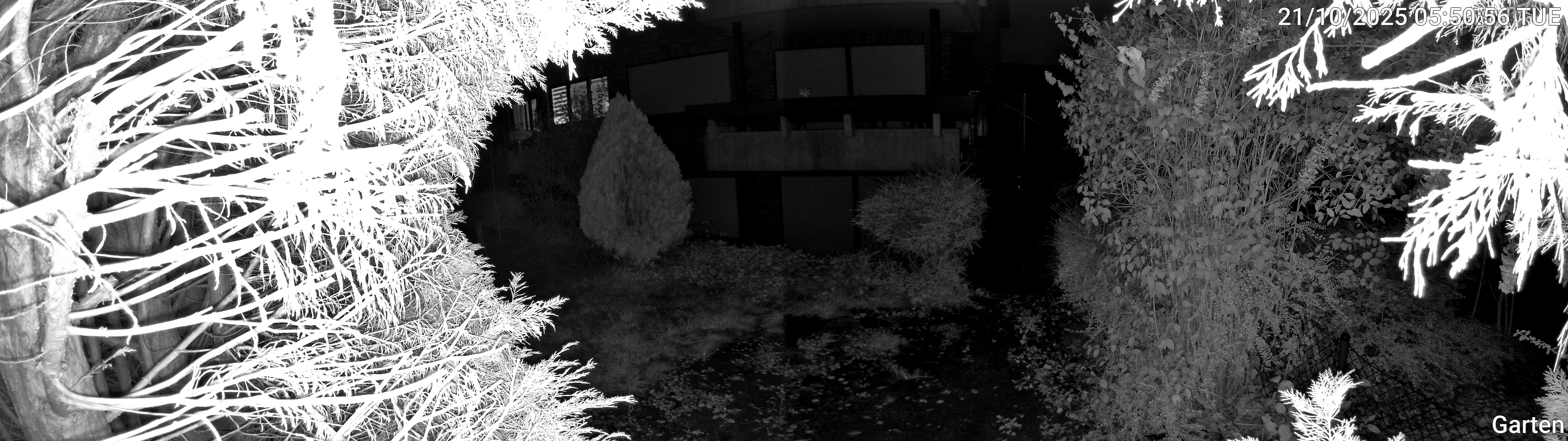 Garten_00_20251021055056.jpg