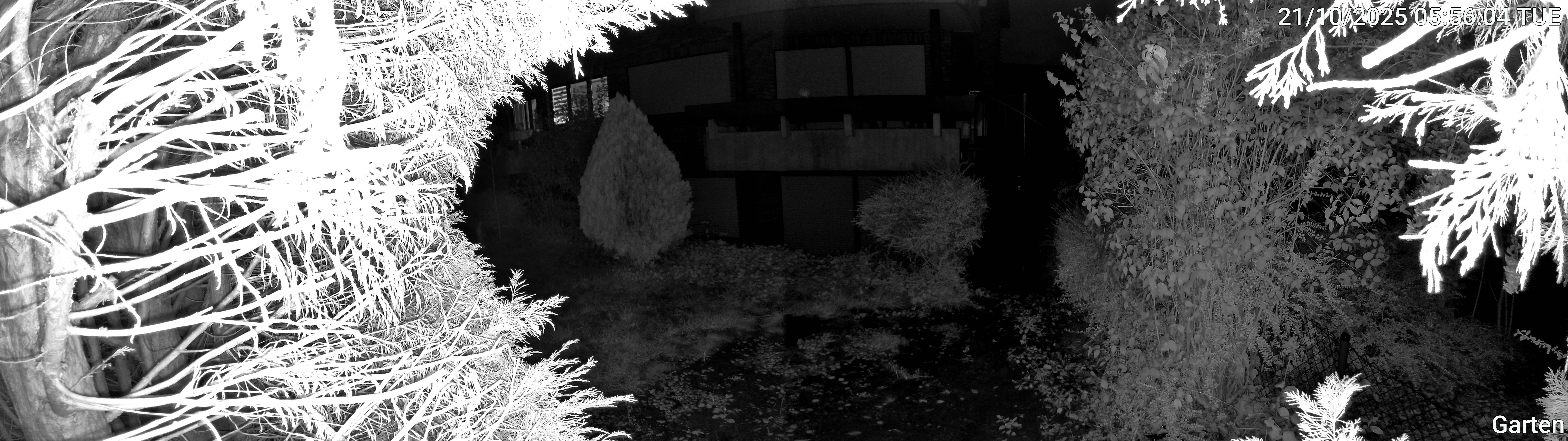 Garten_00_20251021055605.jpg