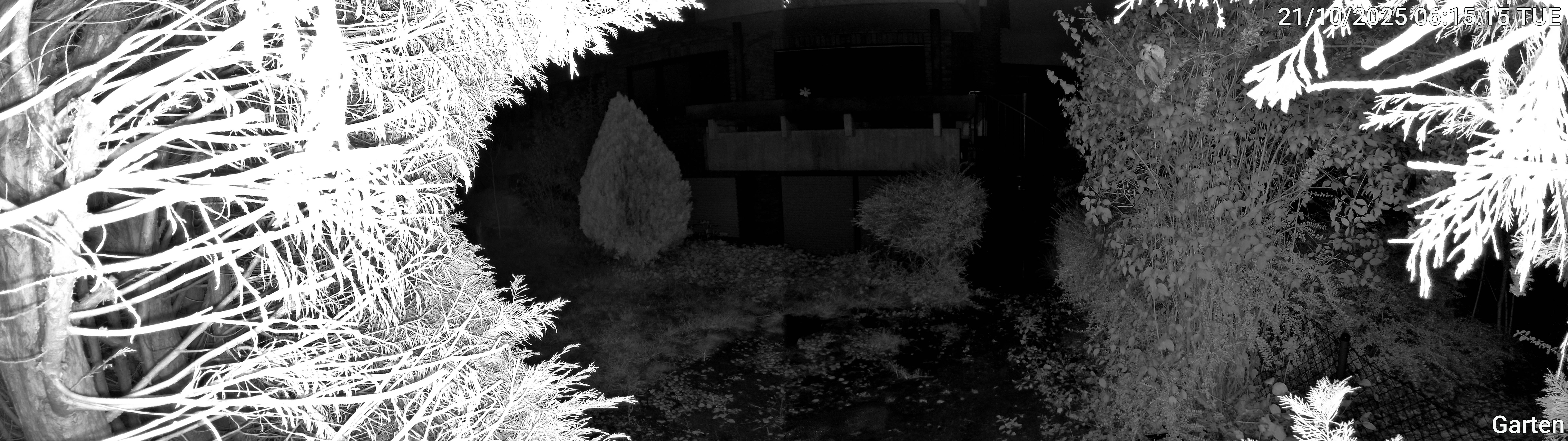 Garten_00_20251021061516.jpg