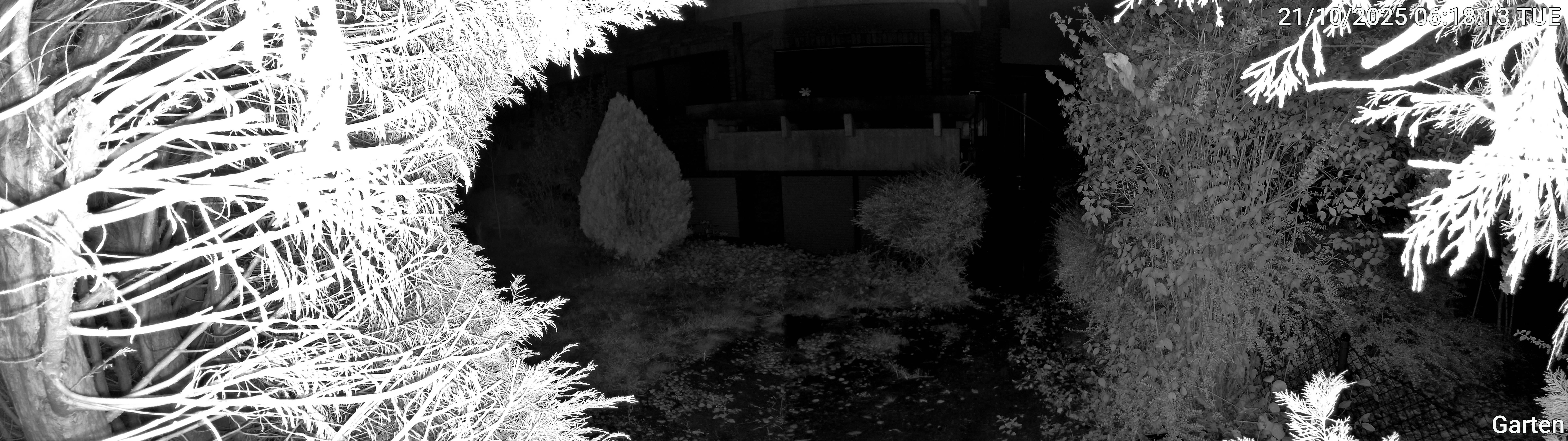 Garten_00_20251021061813.jpg