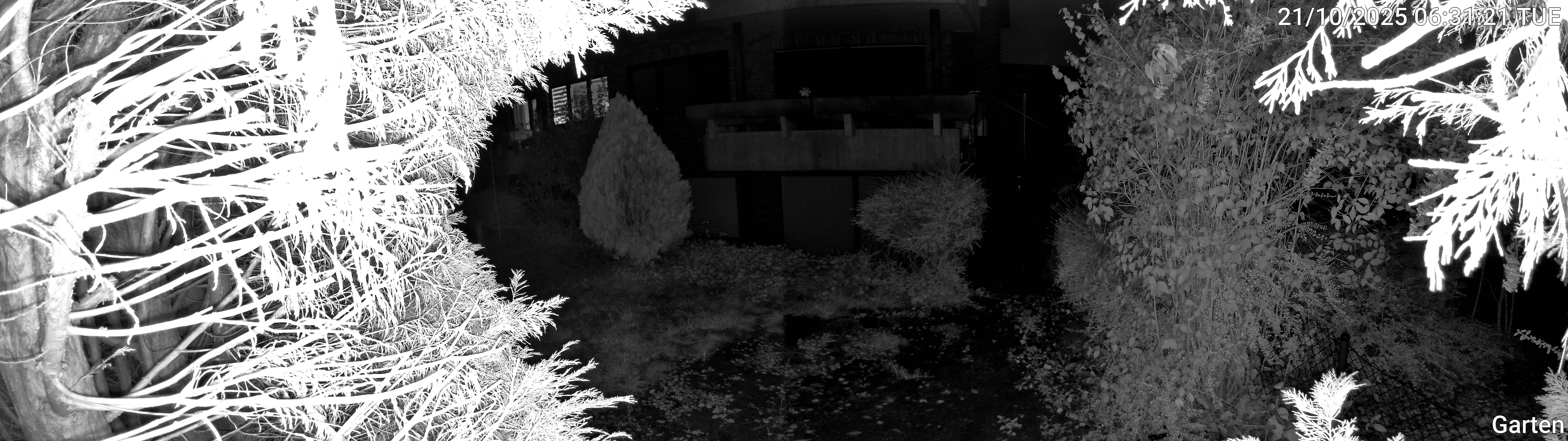 Garten_00_20251021063121.jpg