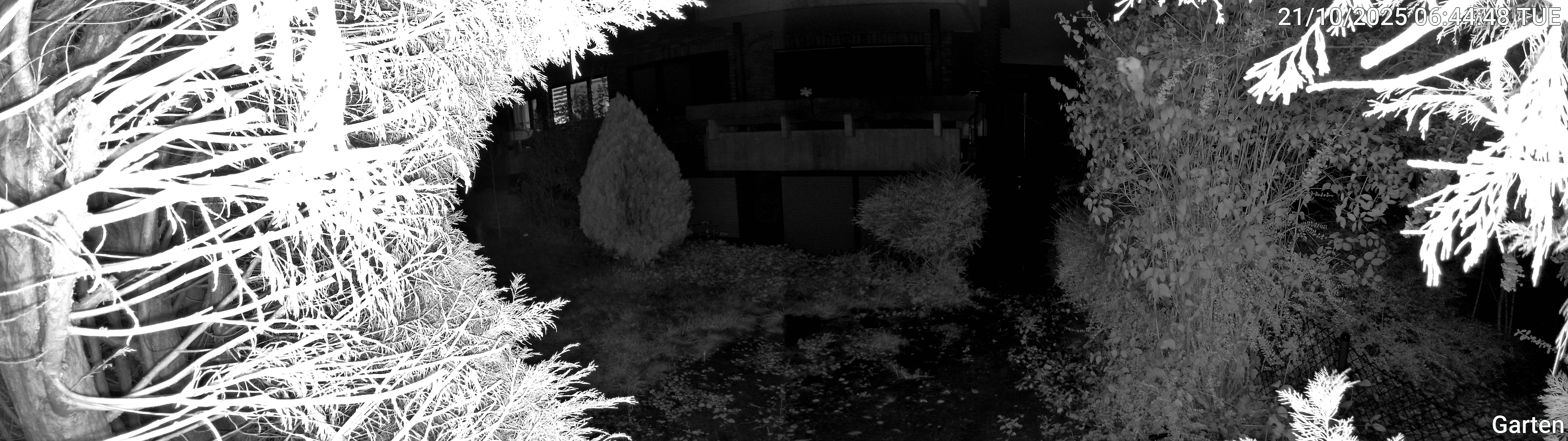 Garten_00_20251021064448.jpg