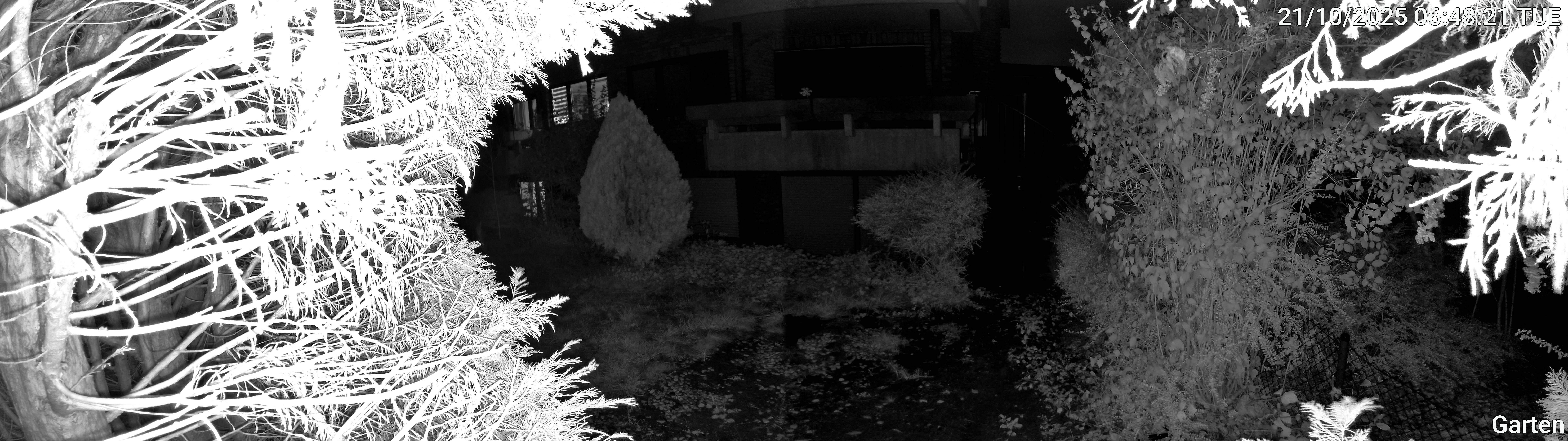 Garten_00_20251021064821.jpg