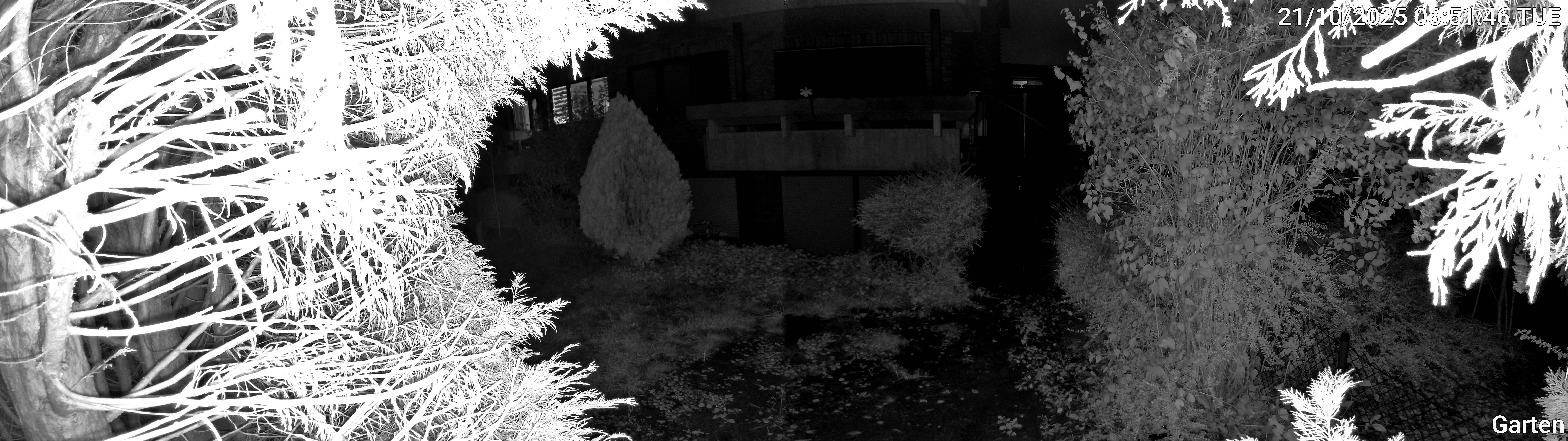 Garten_00_20251021065147.jpg