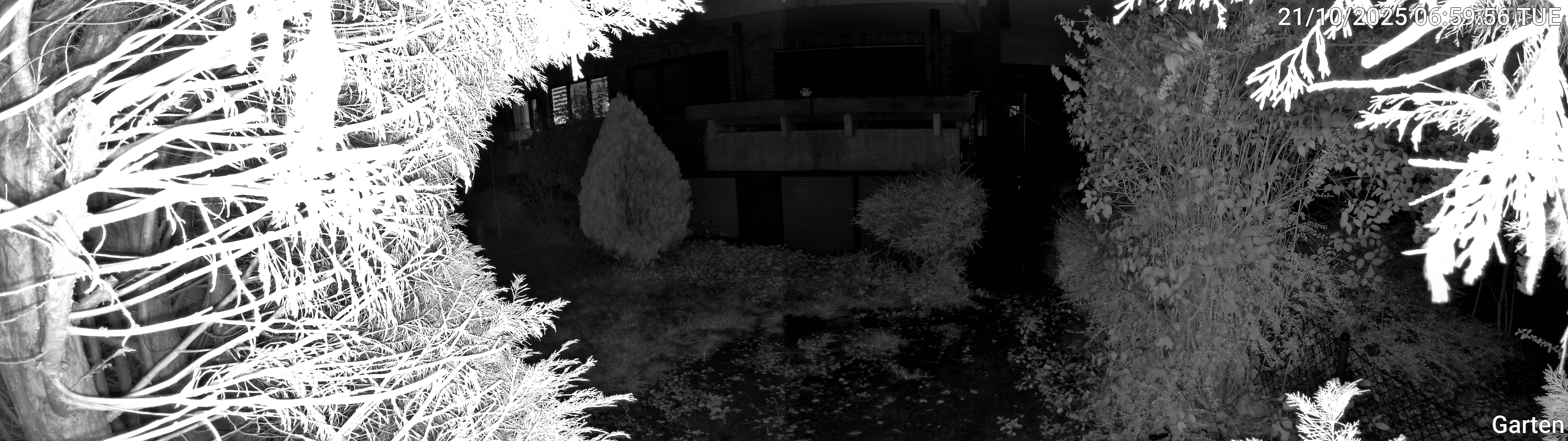 Garten_00_20251021065956.jpg