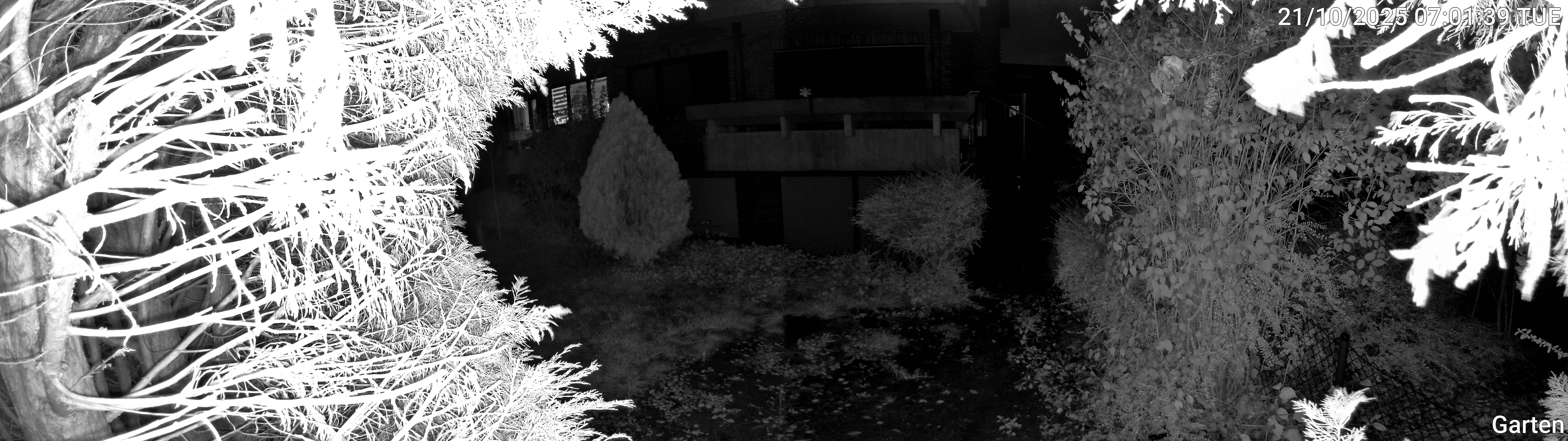 Garten_00_20251021070139.jpg