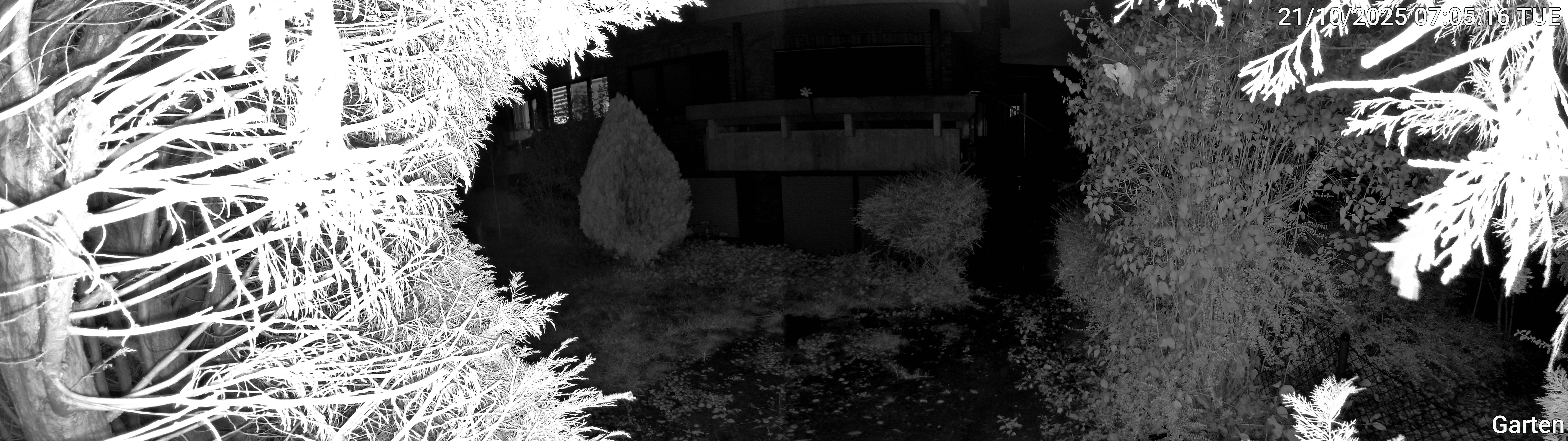 Garten_00_20251021070516.jpg