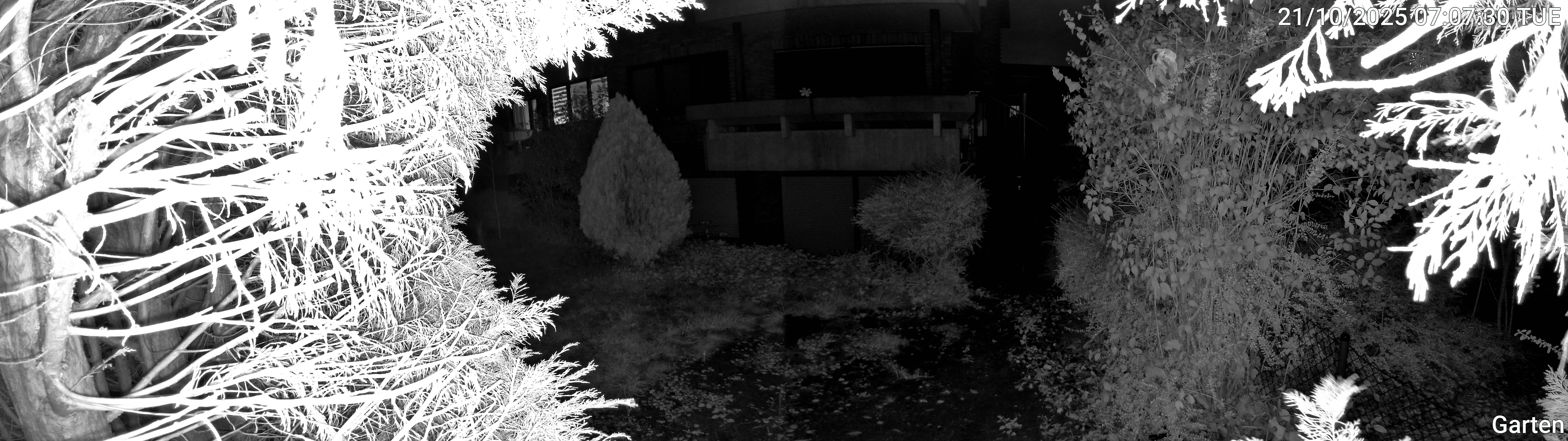 Garten_00_20251021070730.jpg