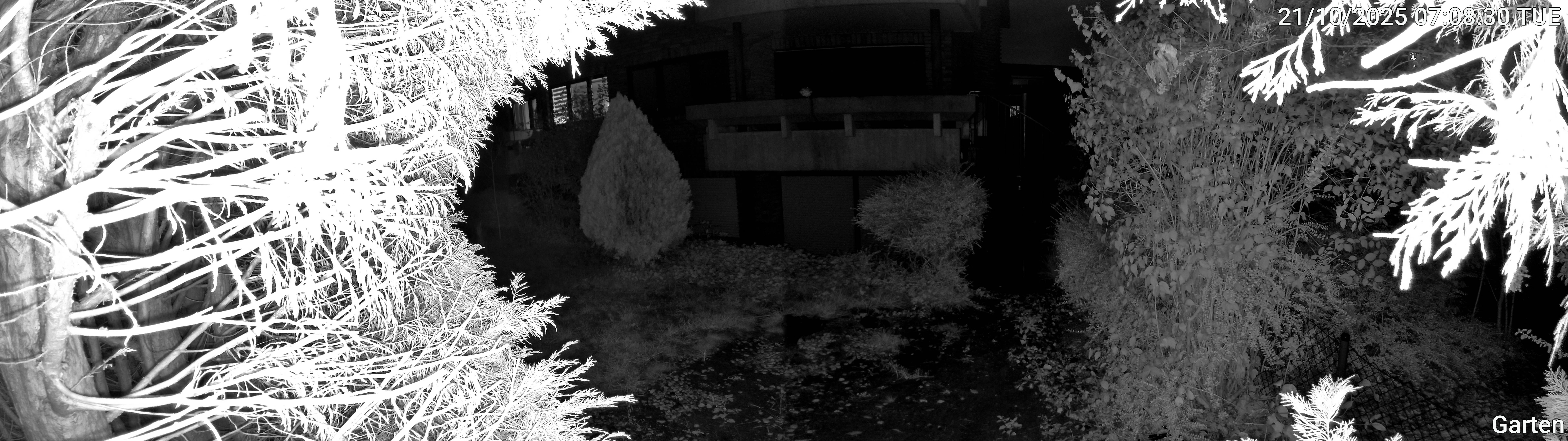 Garten_00_20251021070830.jpg