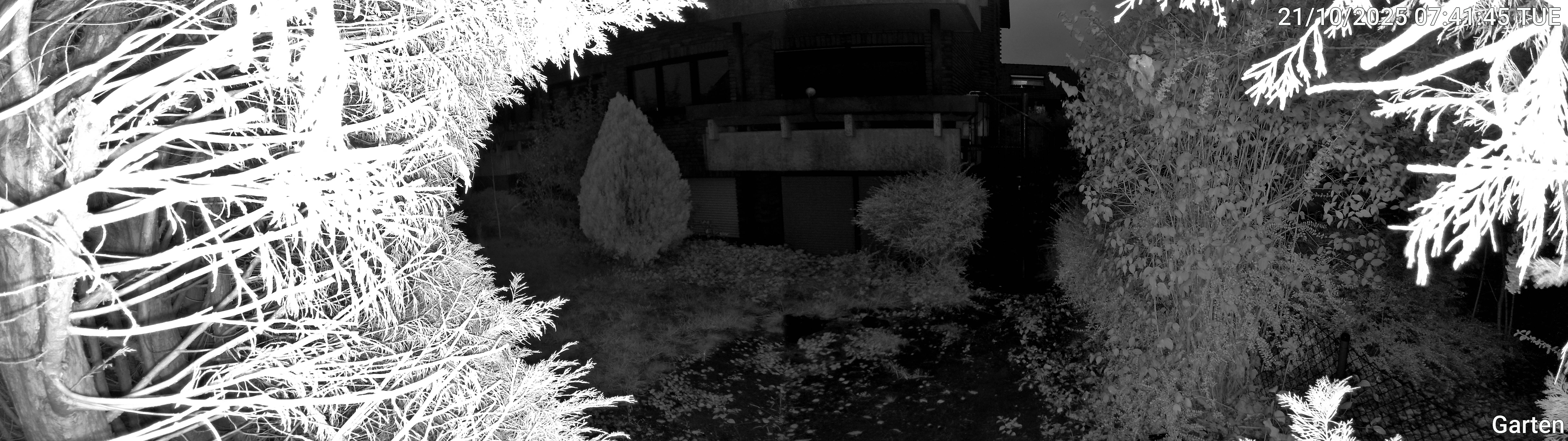 Garten_00_20251021074145.jpg