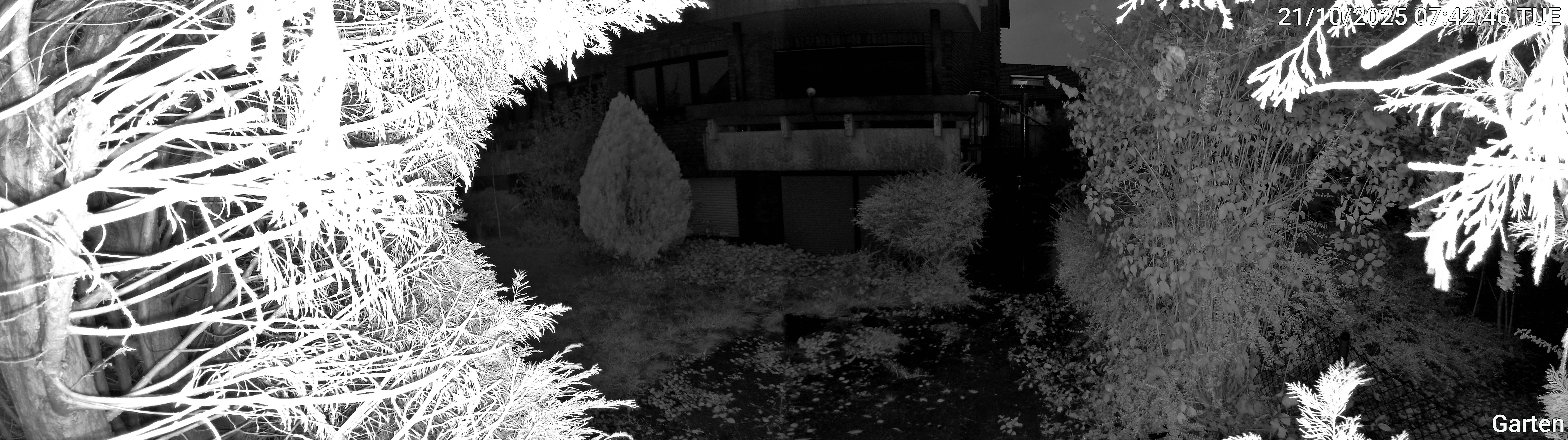 Garten_00_20251021074246.jpg