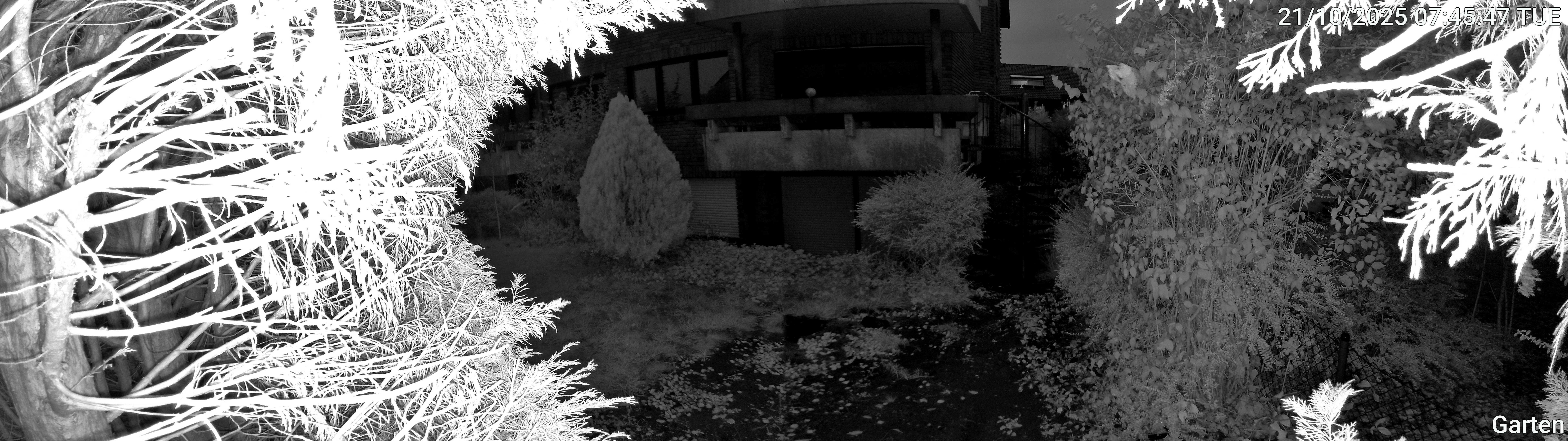 Garten_00_20251021074547.jpg