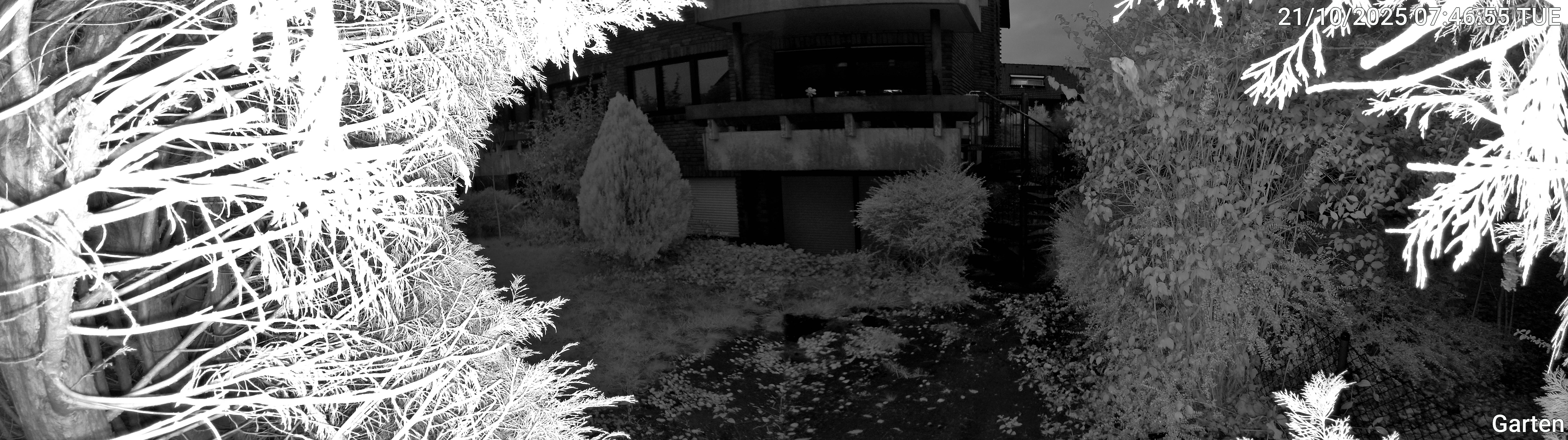 Garten_00_20251021074655.jpg
