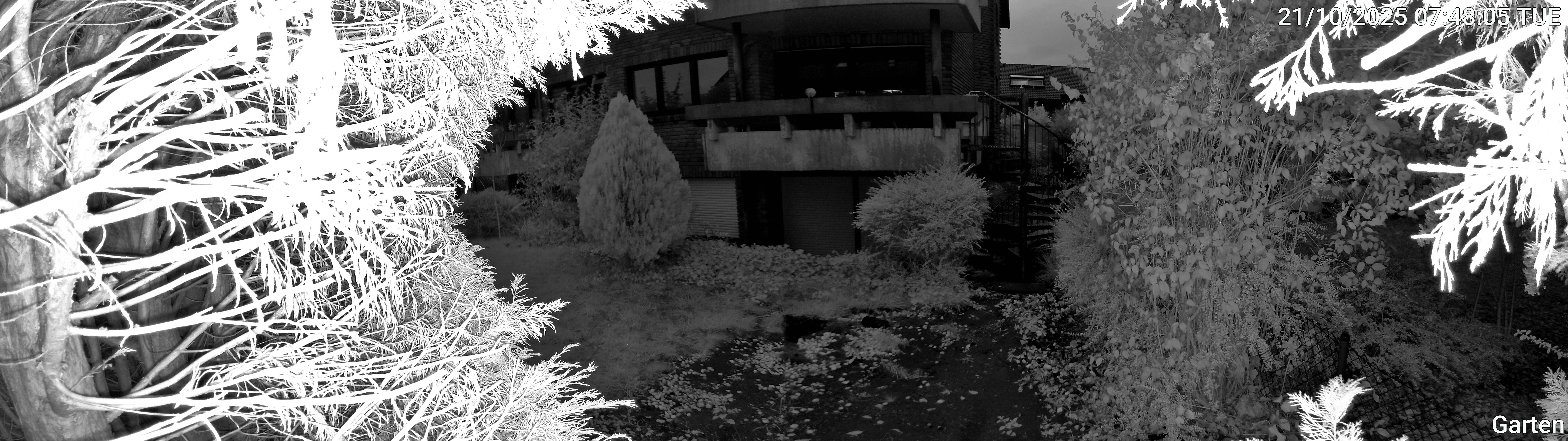 Garten_00_20251021074805.jpg