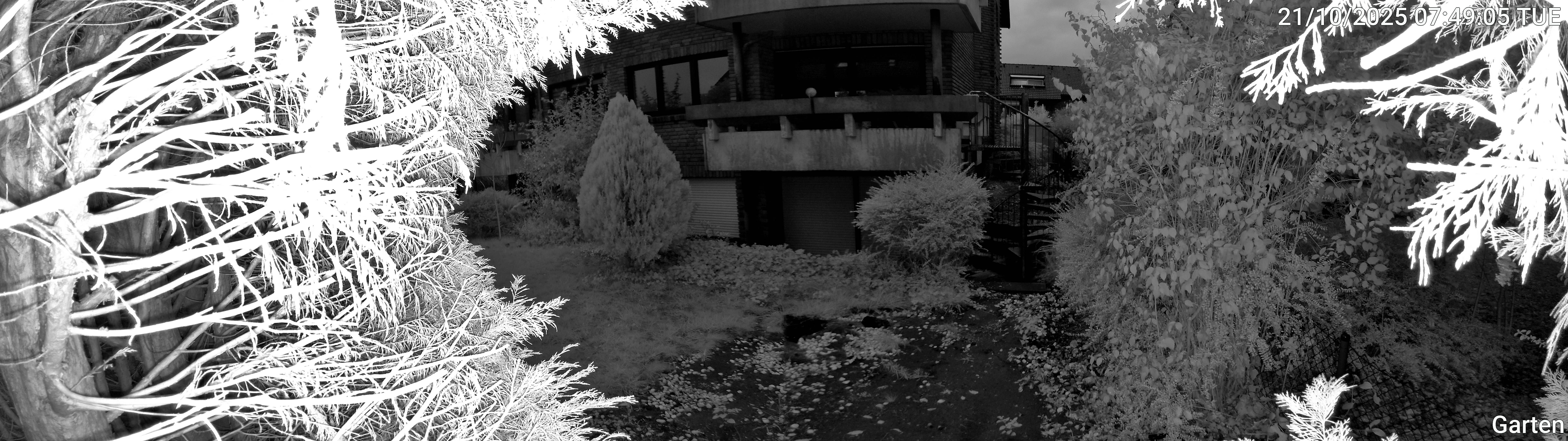 Garten_00_20251021074905.jpg