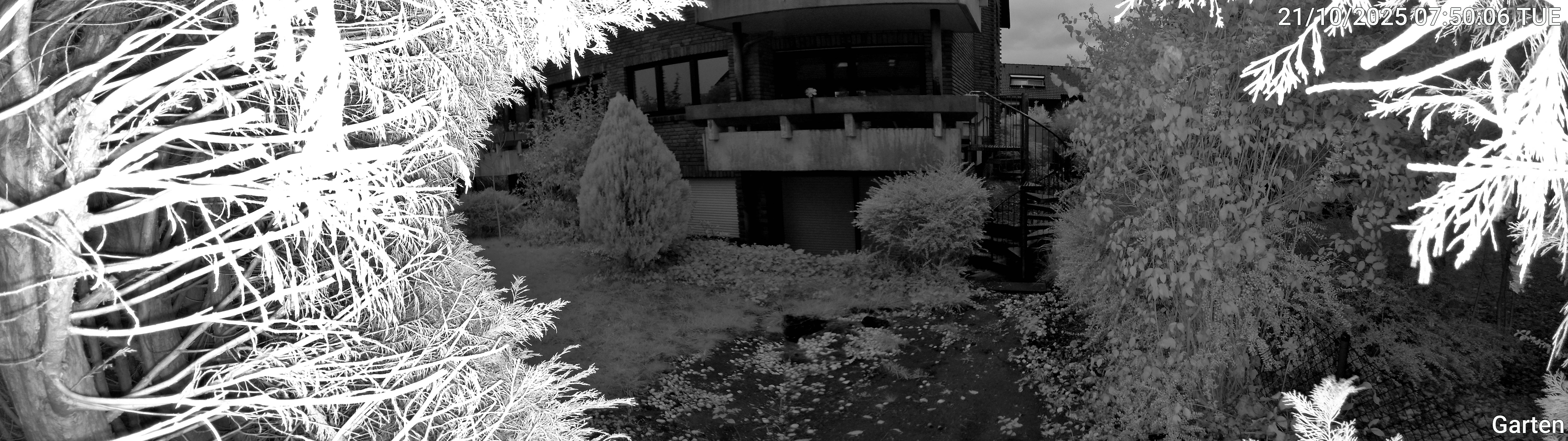 Garten_00_20251021075006.jpg