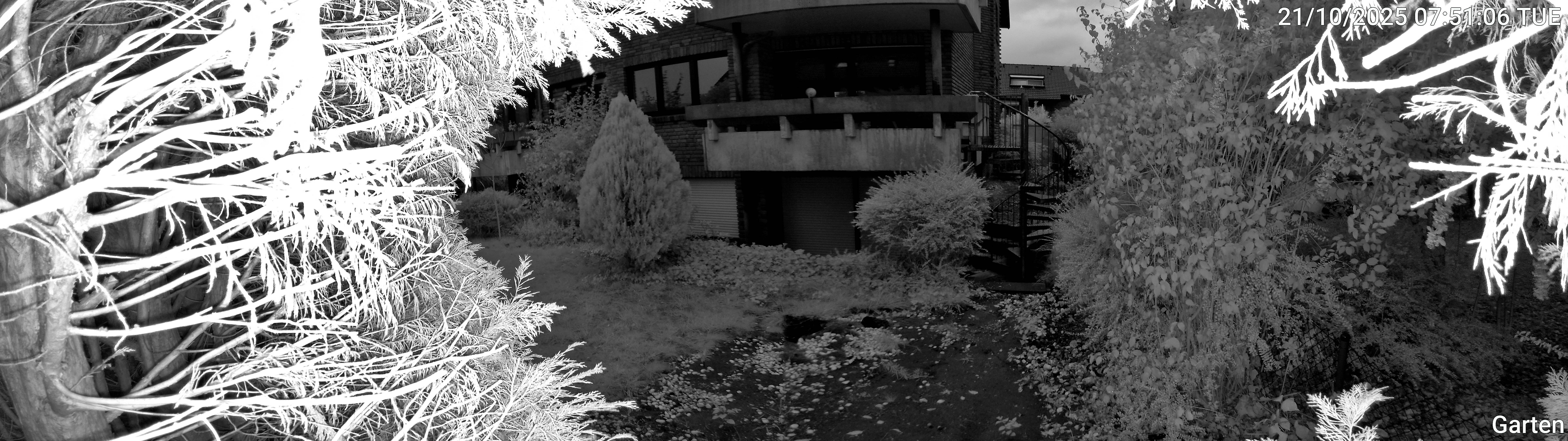 Garten_00_20251021075106.jpg