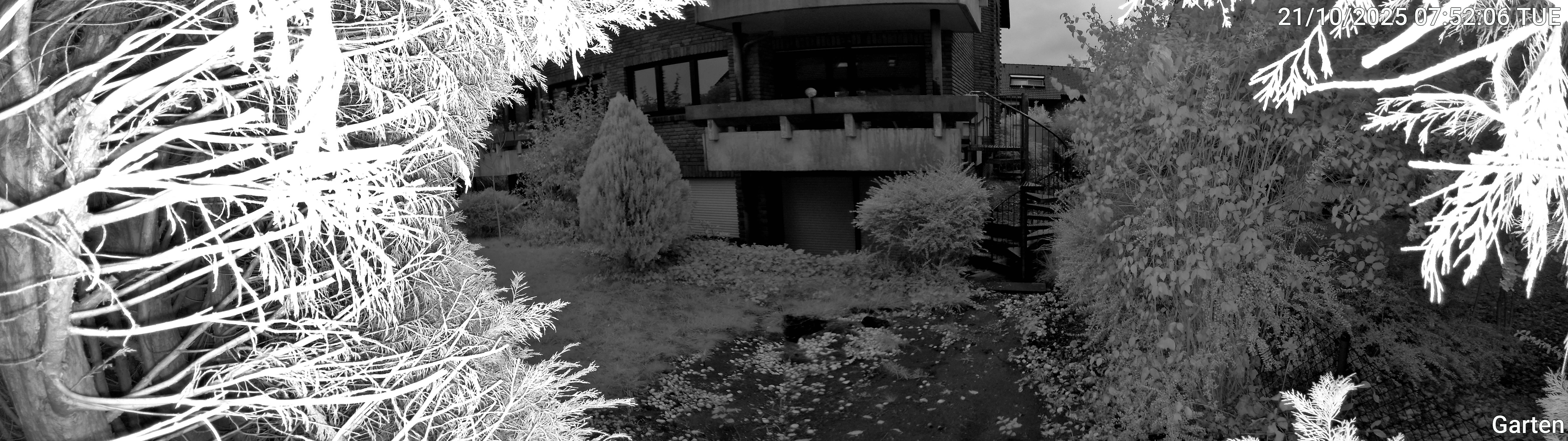 Garten_00_20251021075206.jpg