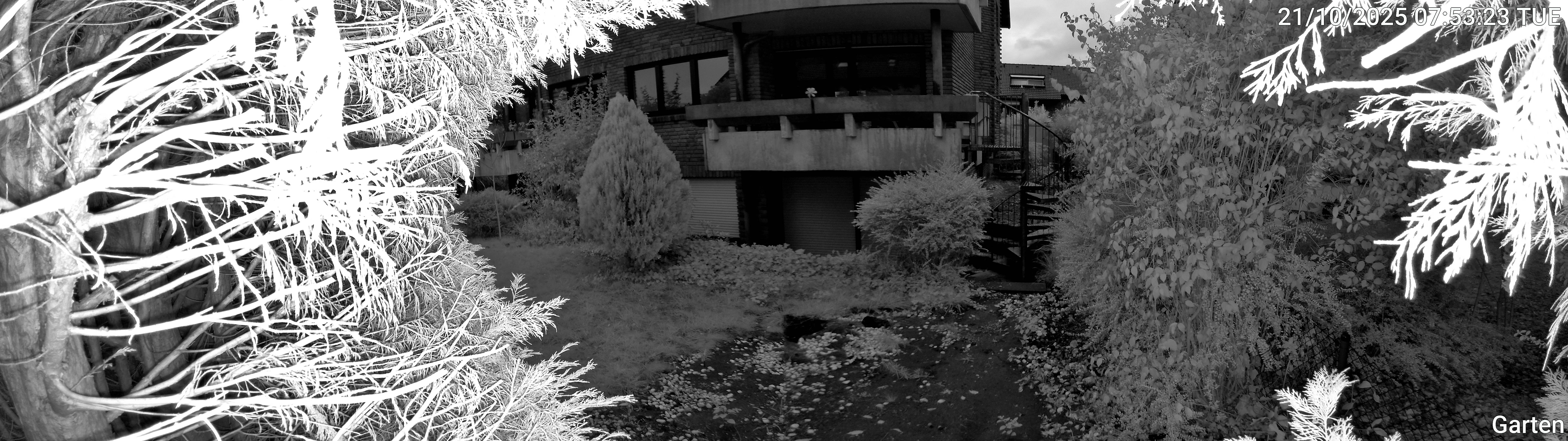 Garten_00_20251021075323.jpg