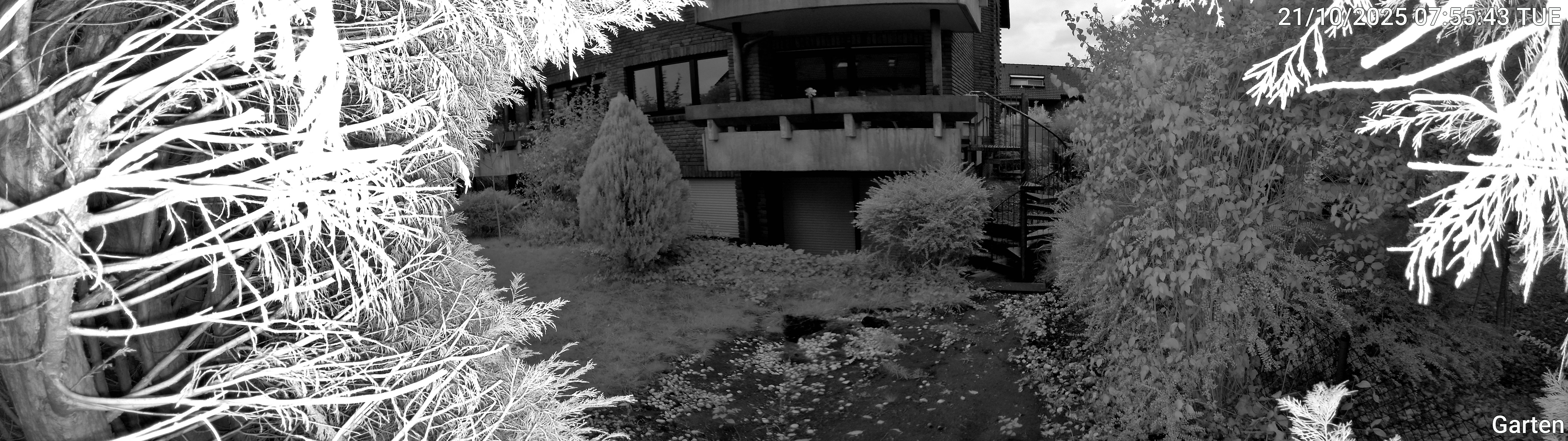 Garten_00_20251021075544.jpg