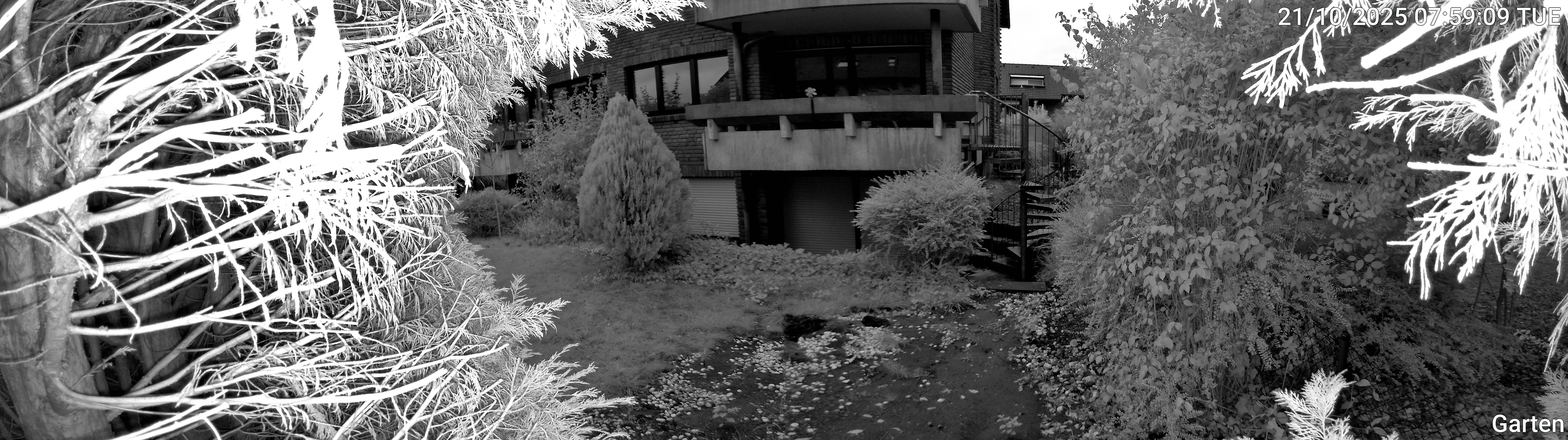 Garten_00_20251021075909.jpg
