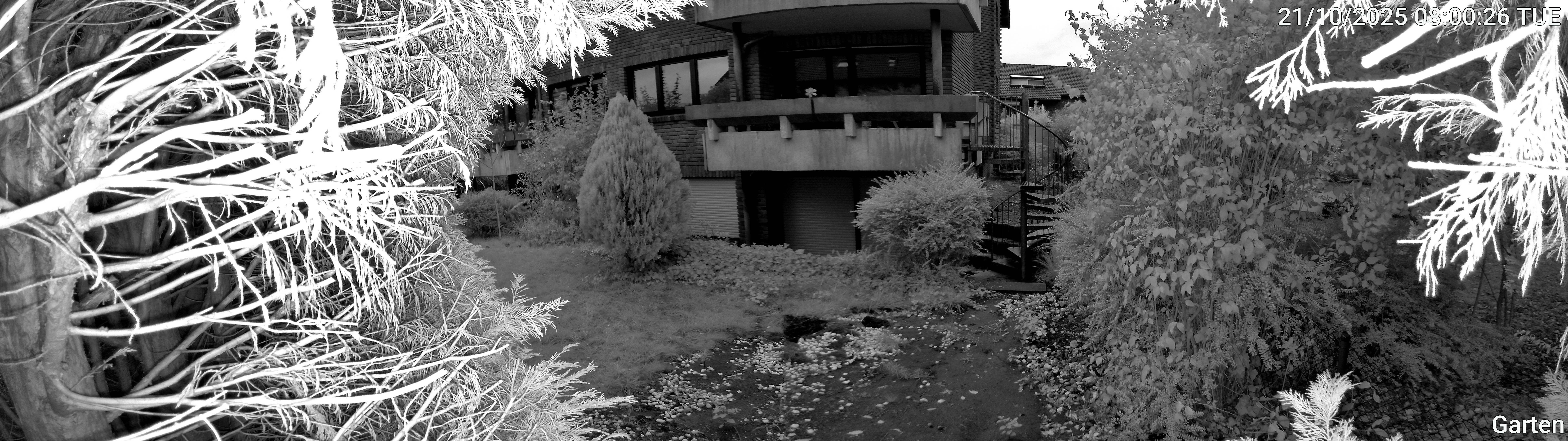 Garten_00_20251021080026.jpg