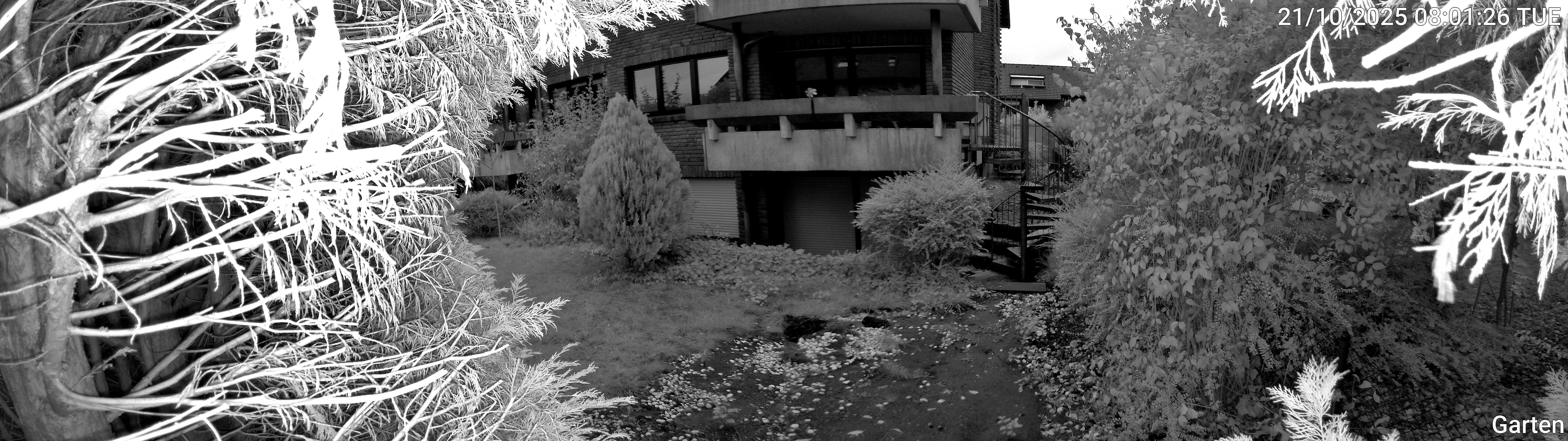 Garten_00_20251021080126.jpg