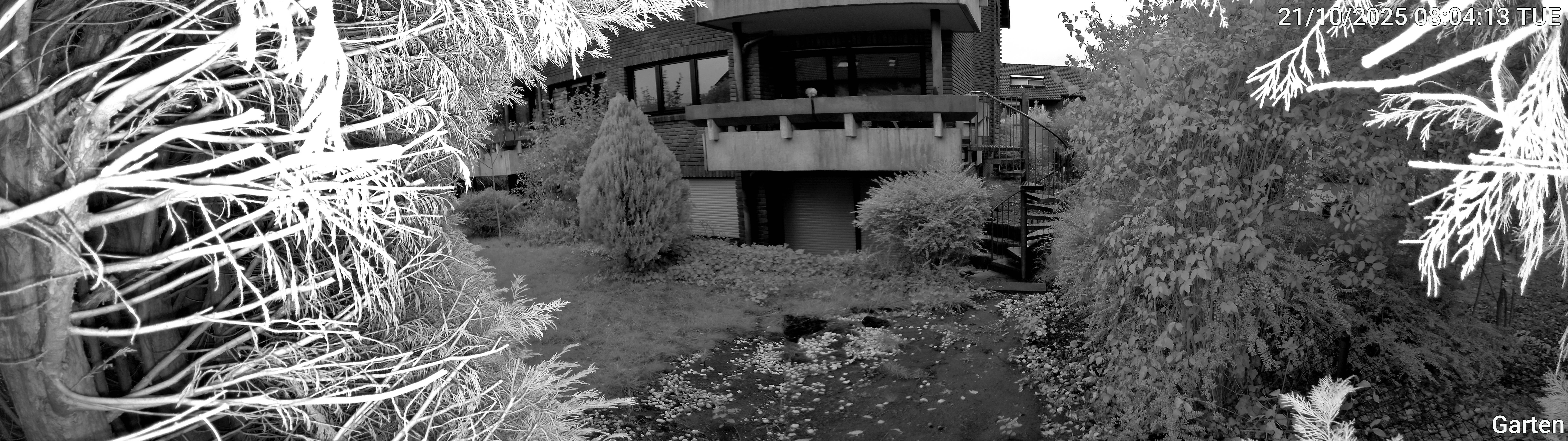 Garten_00_20251021080413.jpg