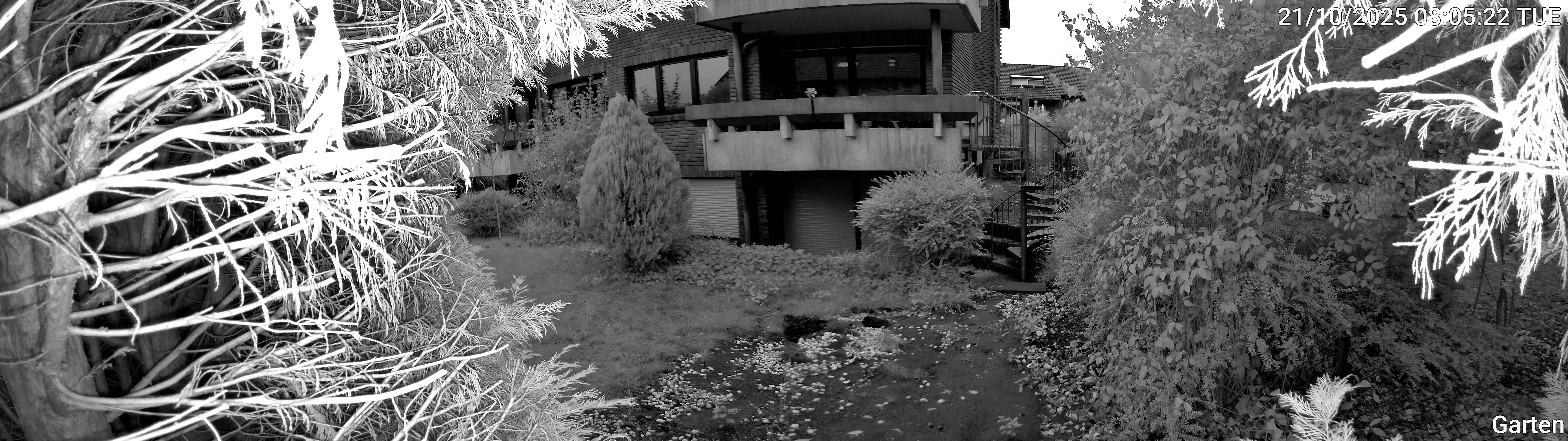 Garten_00_20251021080522.jpg