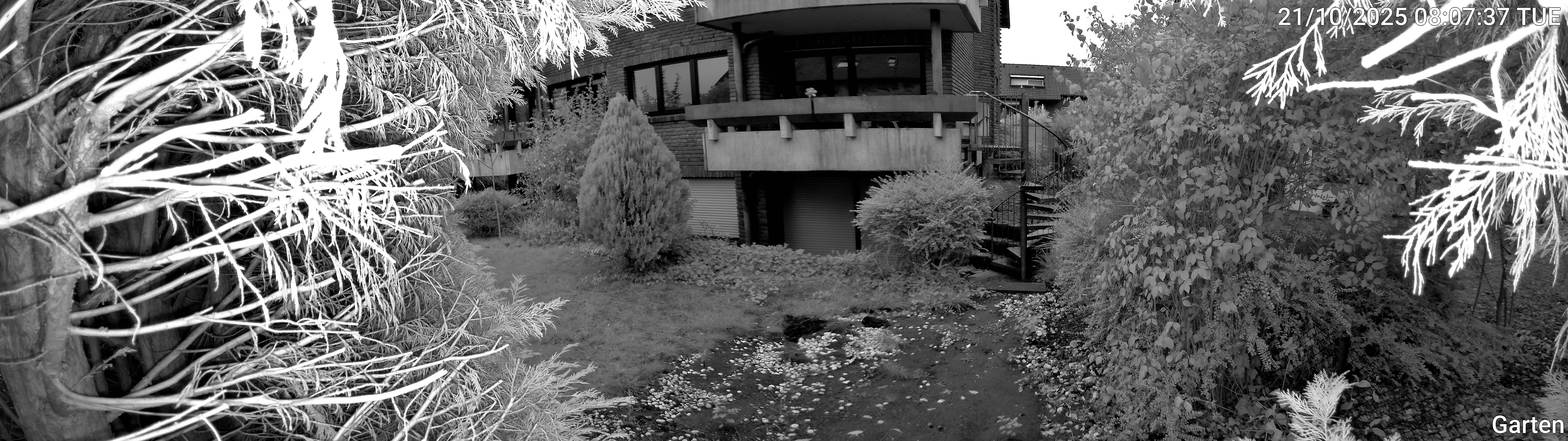 Garten_00_20251021080737.jpg
