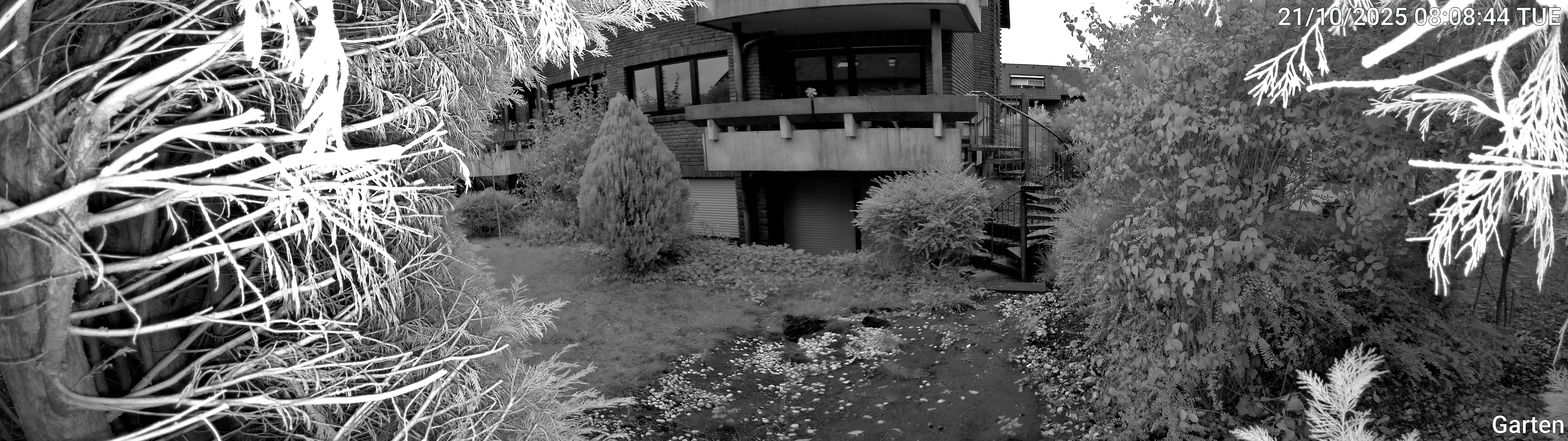 Garten_00_20251021080844.jpg
