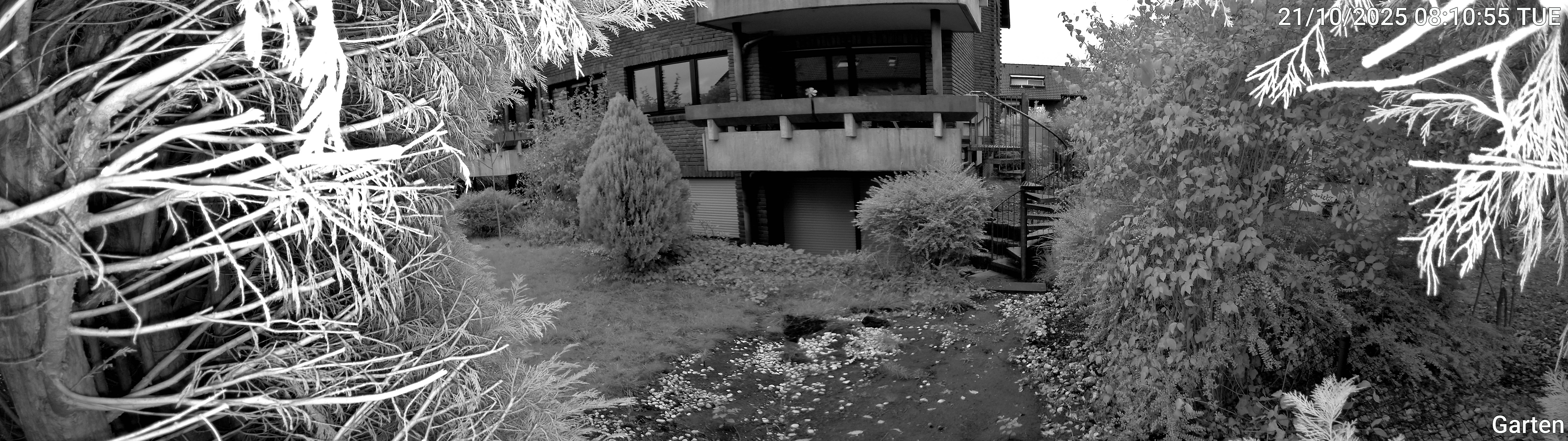 Garten_00_20251021081055.jpg